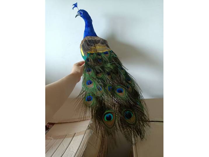 Nouveau modèle de paon en mousse et plumes de simulation, cadeau d'environ 55cm, a00159