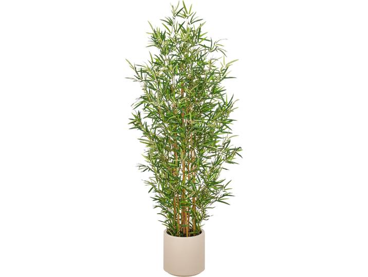 Kunstbambus CREATIV GREEN Bambus fargesia , grün, H:170cm, Obermaterial: 75% Polyester, 25% Kunststoff, Kunstpflanzen, Kunstbambus, mit naturgetreuem Blattwerk