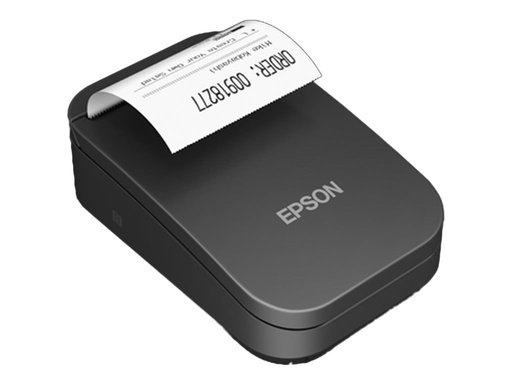 Epson TM P20II (101) - Belegdrucker - Punktmatrix (C31CJ99101)