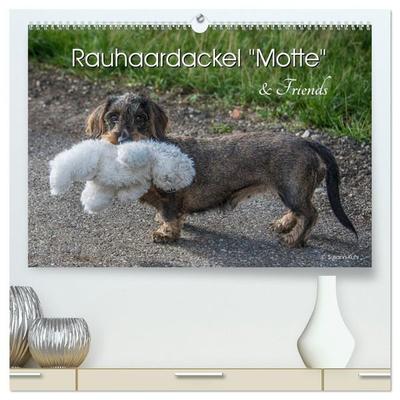 Rauhaardackel Motte & Friends (hochwertiger Premium Wandkalender 2027 DIN A2 quer), Kunstdruck in Hochglanz