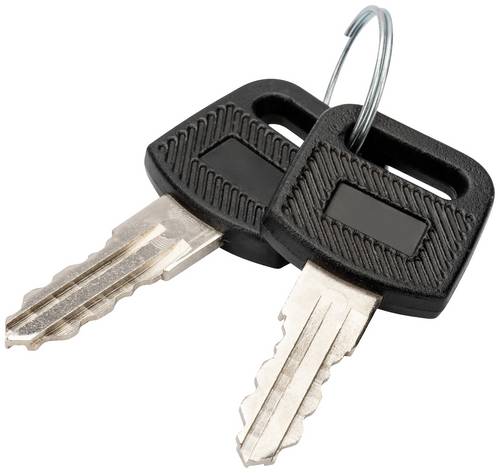 Digitus DN-KEY-WM 10 Zoll, 19 Zoll Netzwerkschrank-Schlüssel Schwarz, Silber