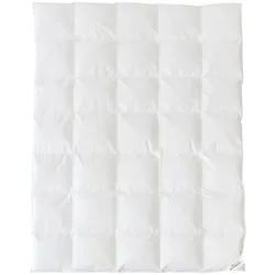 BettwarenShop Bettdecke Hotel medium, Füllung: 90% Federn, 10% Daunen 135x200 cm