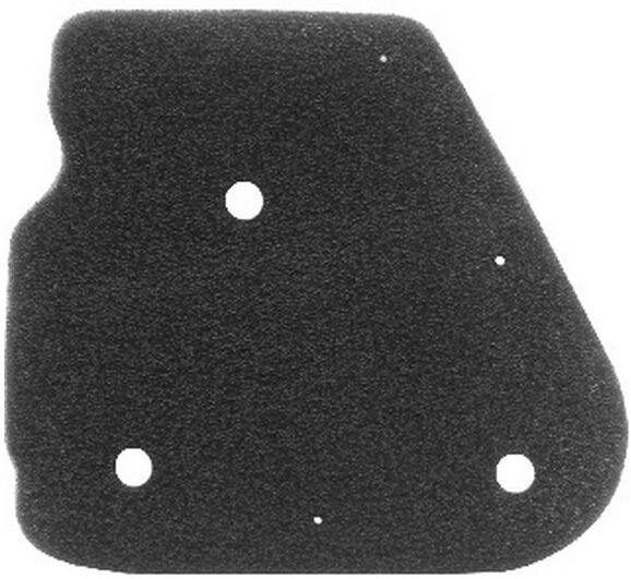 RMS 10 060 0031 Filtre à air