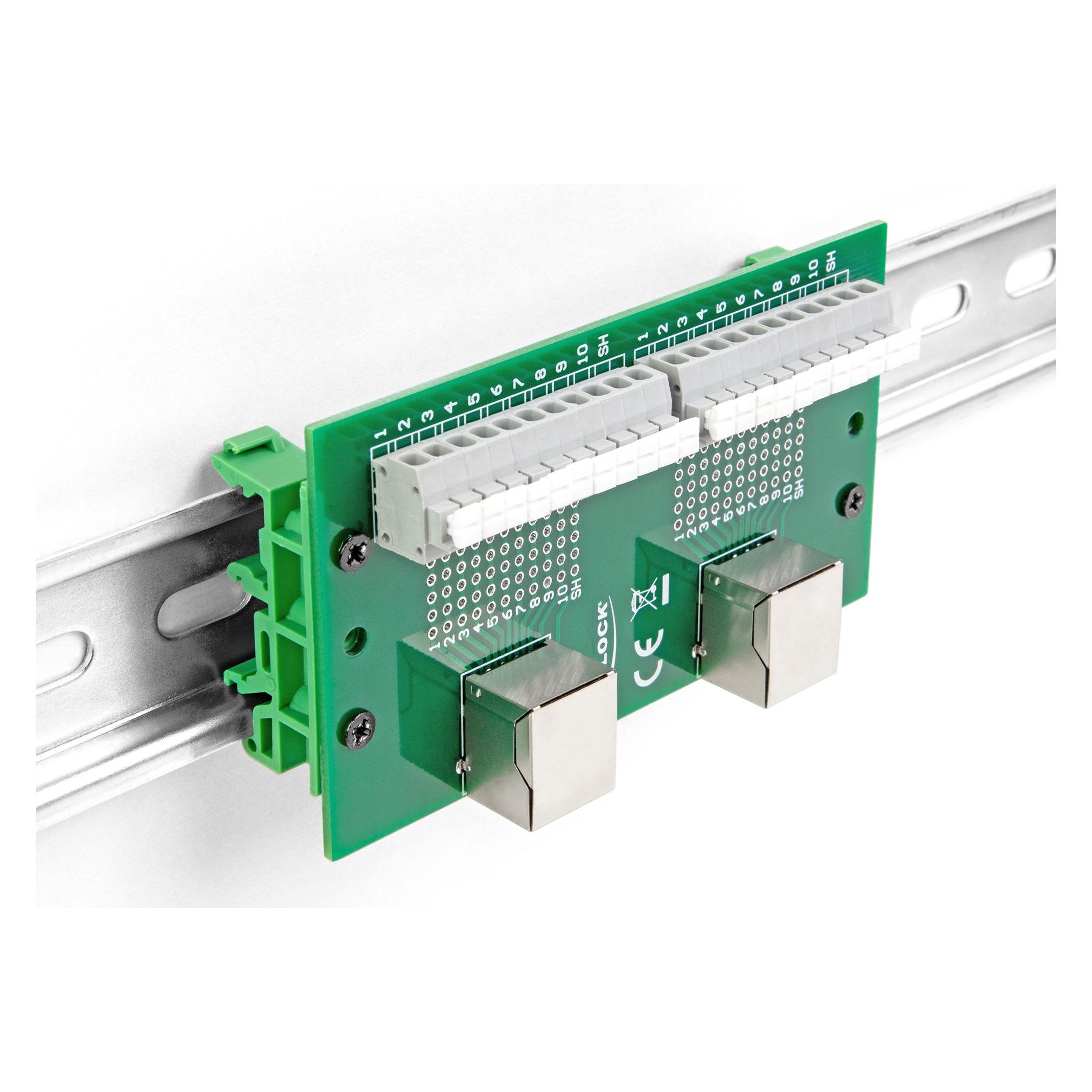 Delock RJ50 2 x Buchse zu 2 x Terminalblock mit Drucktaster für Hutschiene (Antennenadapter) (67014)