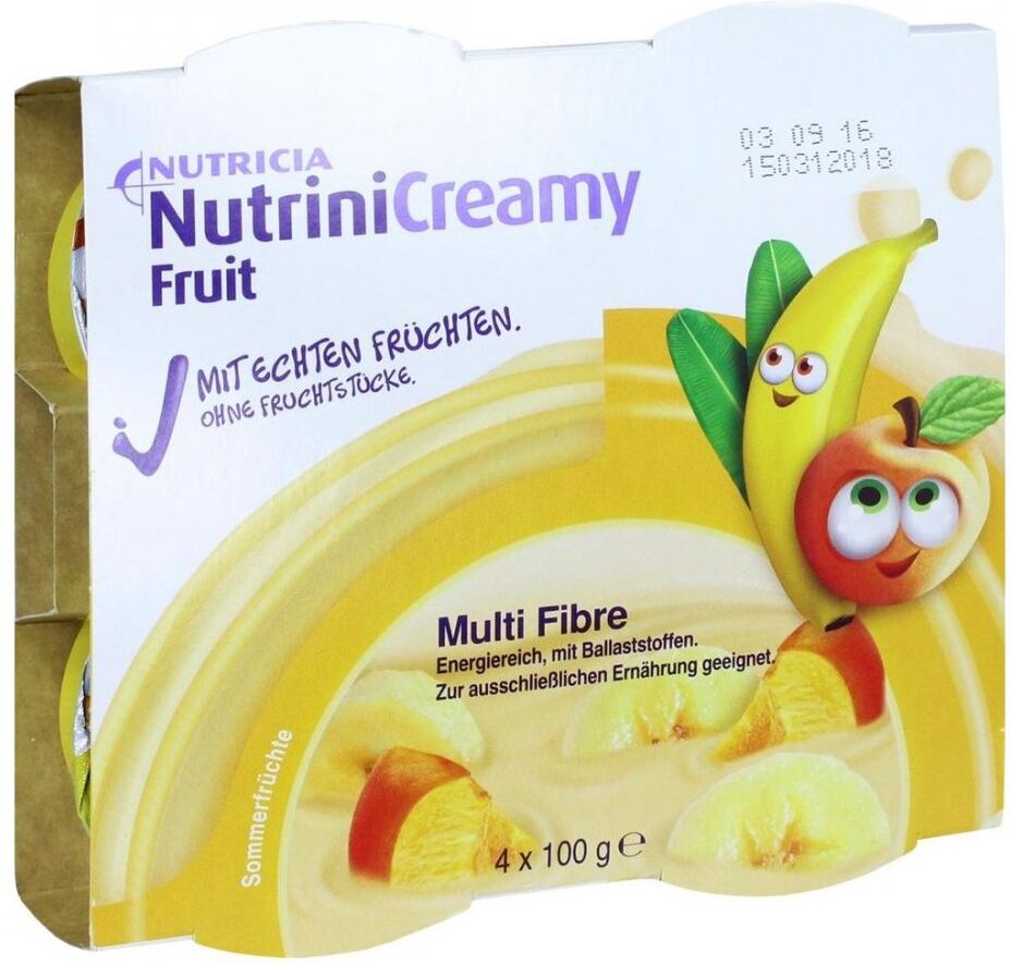 Nutrini Creamy Fruit Sommerfrüchte