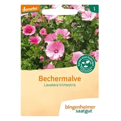 Bechermalve - Blumen