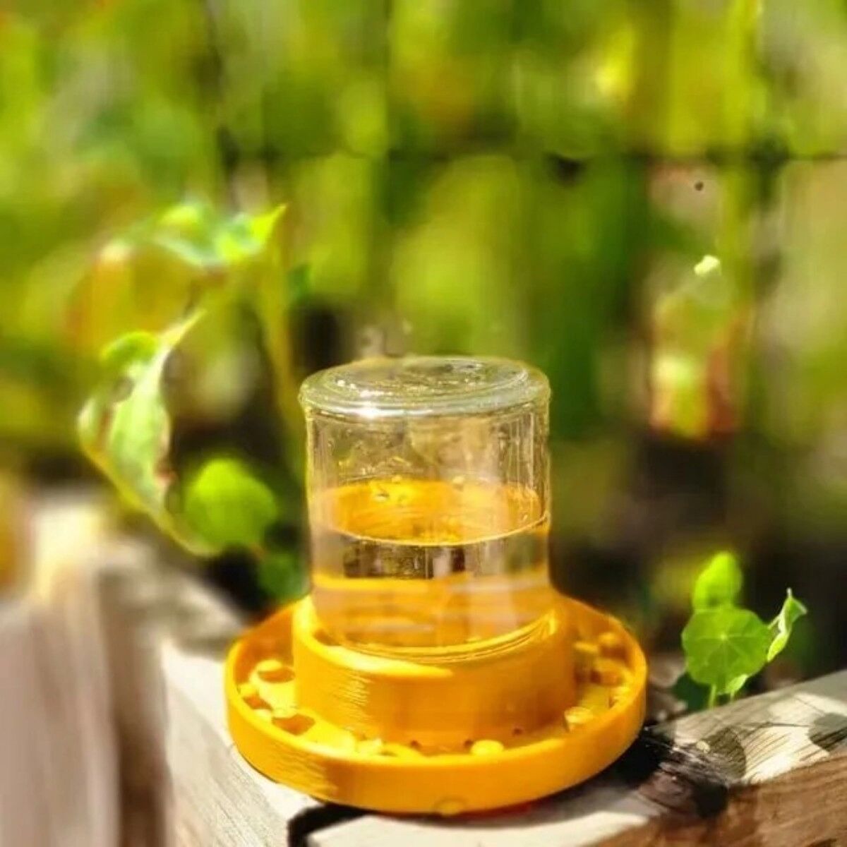 INF Nourrisseur extérieur pour abeilles avec bocal - Plastique et Verre pour bocaux Mason à ouverture standard, portable pour Jaune