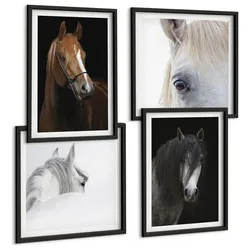 BILDER SET 4er Set - 50x50 cm & 40x60 cm Schwarzer Rahmen - Pferdeporträts in Schattierungen