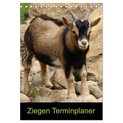 Ziegen Terminplaner (Tischkalender 2026 DIN A5 hoch), CALVENDO Monatskalender