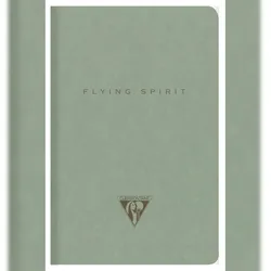 Clairefontaine 5x Flying Spirit Green, Notizbuch geheftet, 9x14cm, 48 Blatt liniert, Papier elfenbein 90g, Motive sortiert - Graugrün 107596C