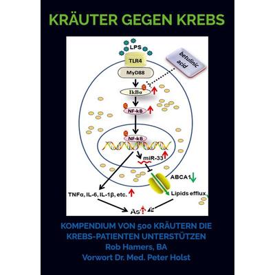 Kräuter gegen Krebs, Taschenbuch von Rob Hamers, Bookmundo Direct, 978-94-036-3129-5