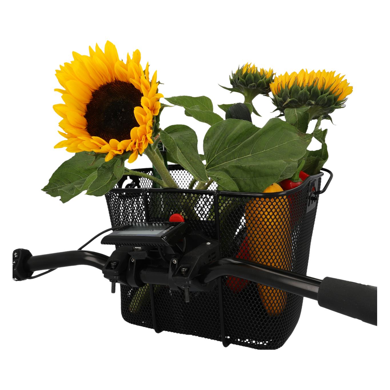 Fischer E-Bike (11 l) (50376)