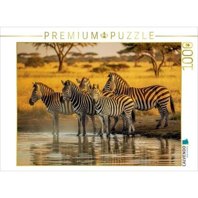 CALVENDO Puzzle Zebras, Harmonie im Kontrast. | 1000 Teile Lege-Größe 64 × 48 cm Foto-Puzzle für glückliche Stunden