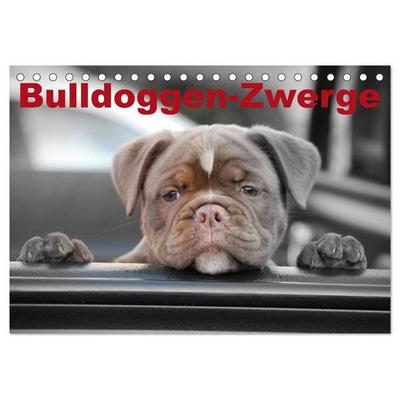 Bulldoggen-Zwerge (Tischkalender 2027 DIN A5 quer), CALVENDO Monatskalender
