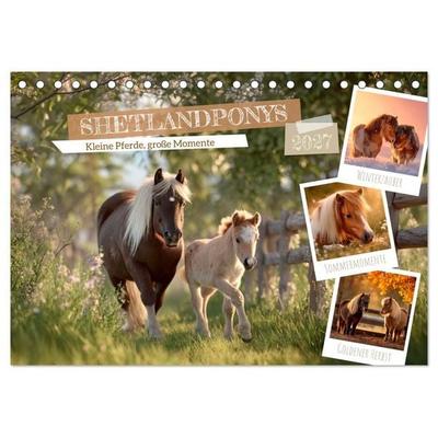 Shetlandponys - Kleine Pferde, große Momente (Tischkalender 2027 DIN A5 quer), CALVENDO Monatskalender