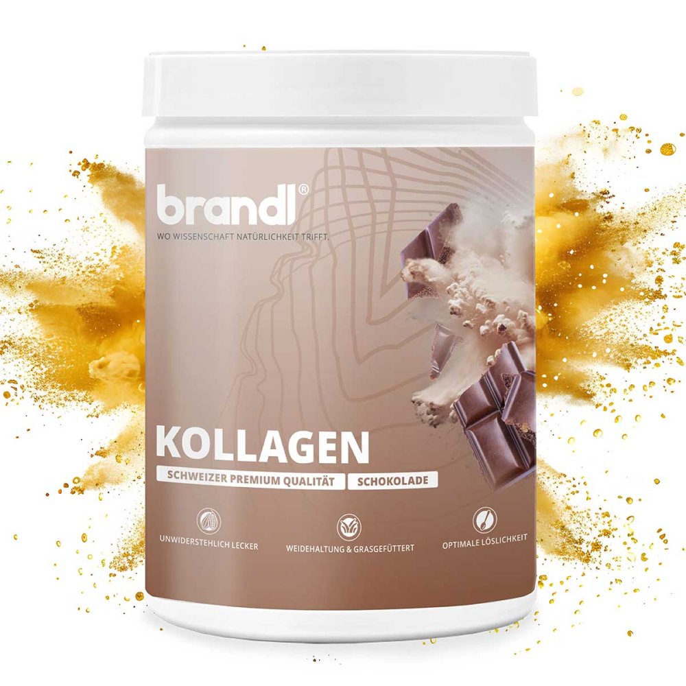Brandl Nutrition GmbH Brandl Kollagen Pulver Schokolade 19895620