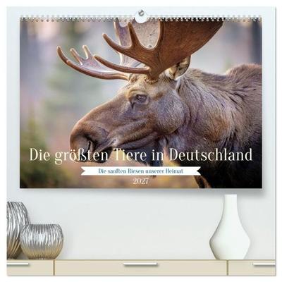 Die größten Tiere in Deutschland (hochwertiger Premium Wandkalender 2027 DIN A2 quer), Kunstdruck in Hochglanz