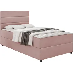 BOXBETT Elen - H3