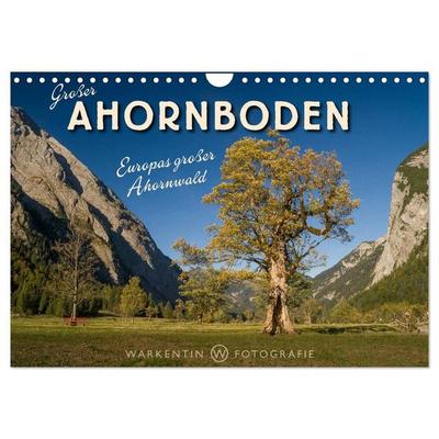 Großer Ahornboden - Europas großer Ahornwald (Wandkalender 2027 DIN A4 quer), CALVENDO Monatskalender