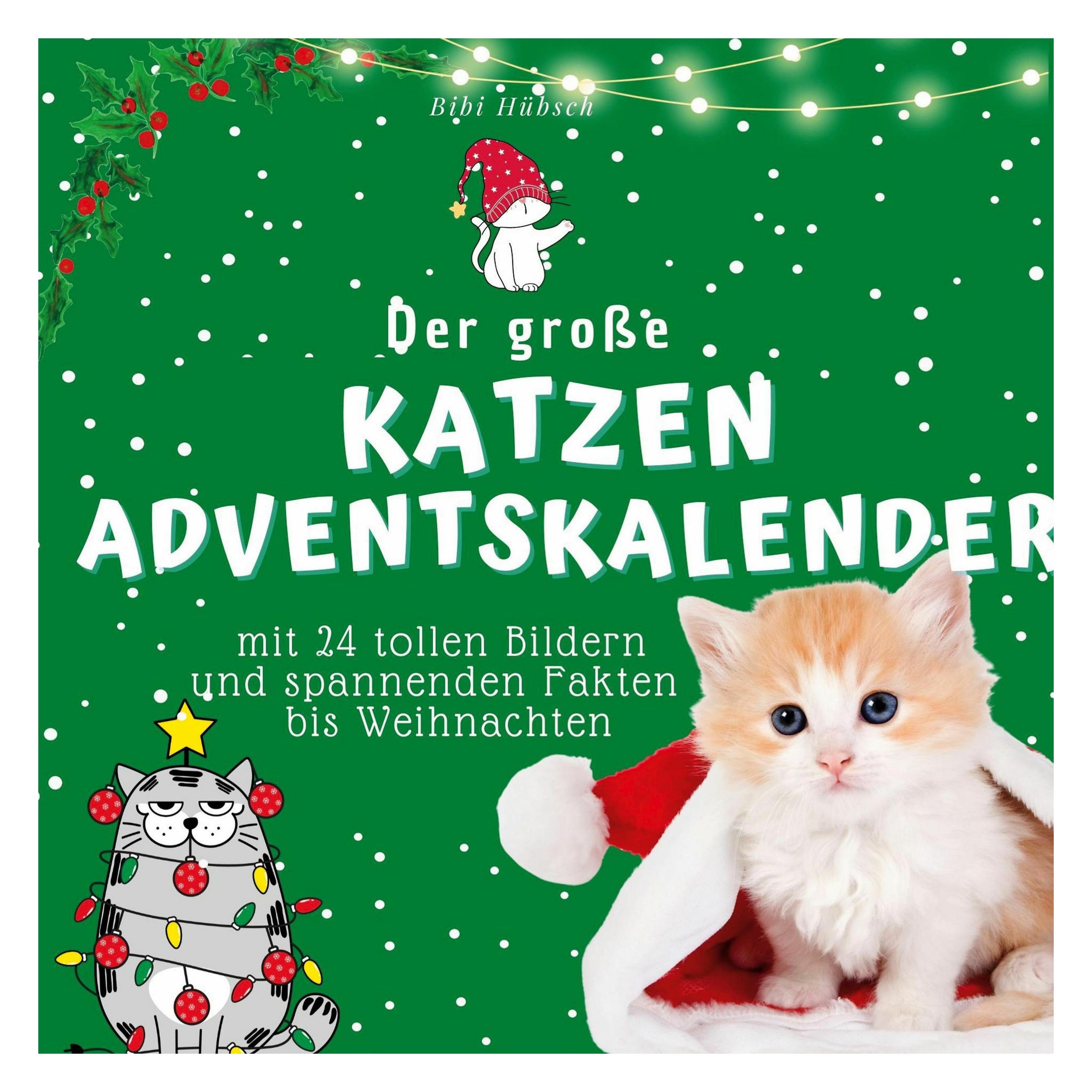 Various Publishers Hübsch:Der grosse Katzen-Adventskalende (45649751)