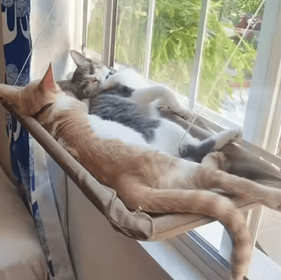 Inspire Curations Ultra Soft Window Hammock Cat Bed khaki