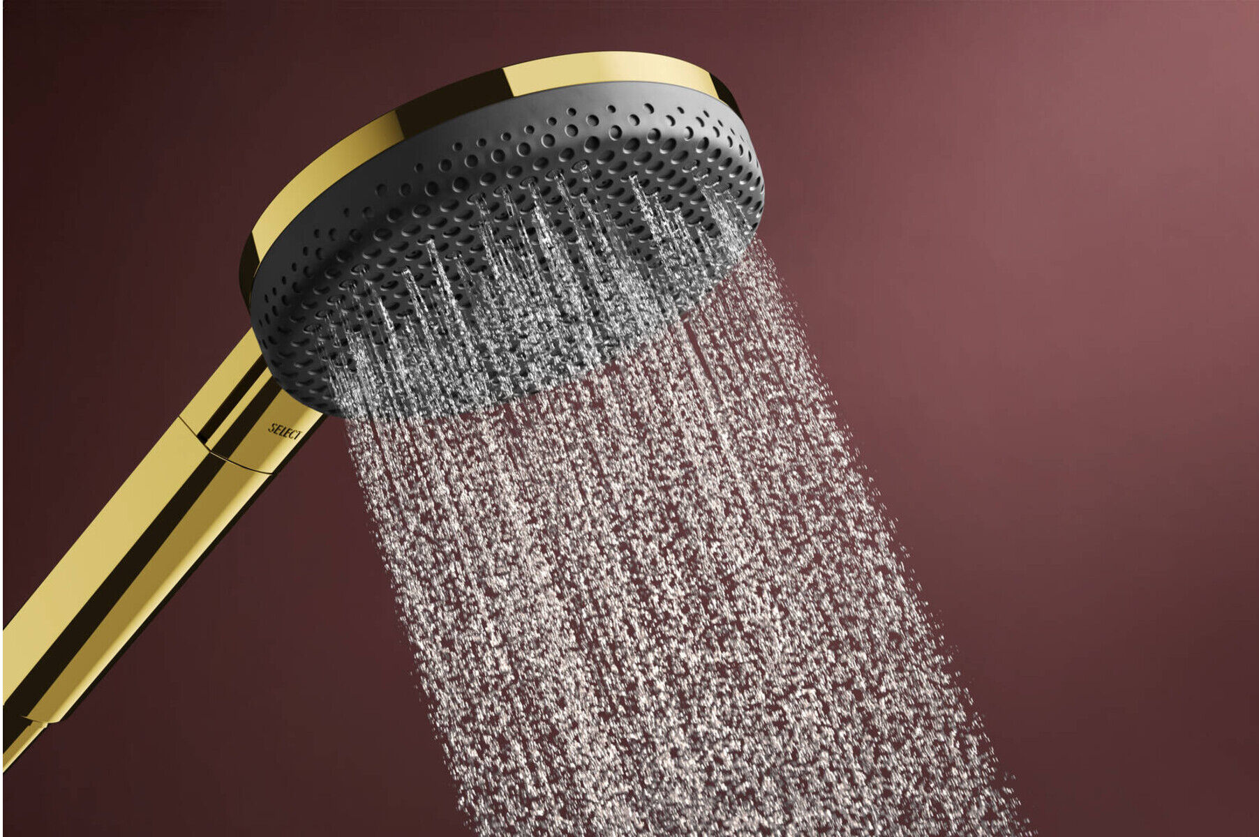 Hansgrohe Handbrause Raindance Alive Sel. S 125mm Kopf, 3jet, polished gold optic (24500990)