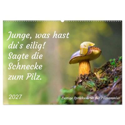 Junge, was hast du`s eilig (Wandkalender 2027 DIN A2 quer), CALVENDO Monatskalender