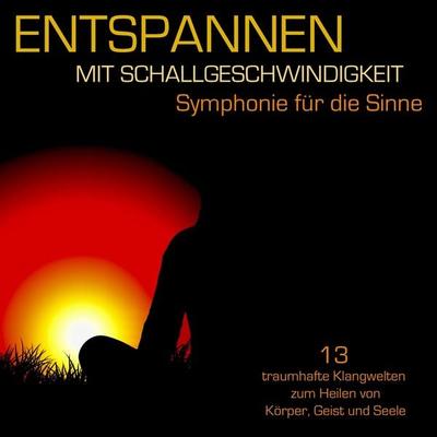 Entspannen mit Schallgeschwindigkeit - Patrick Lynen, Audio, 4057664367921