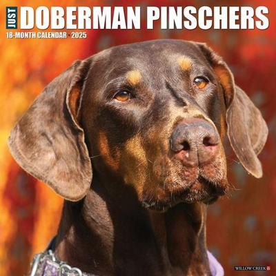 Doberman Pinschers 2026 Wall Calendar