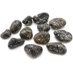 Bag of 12 Medium African Tumble Stones - Guinea Fowl Bag of 12 Medium