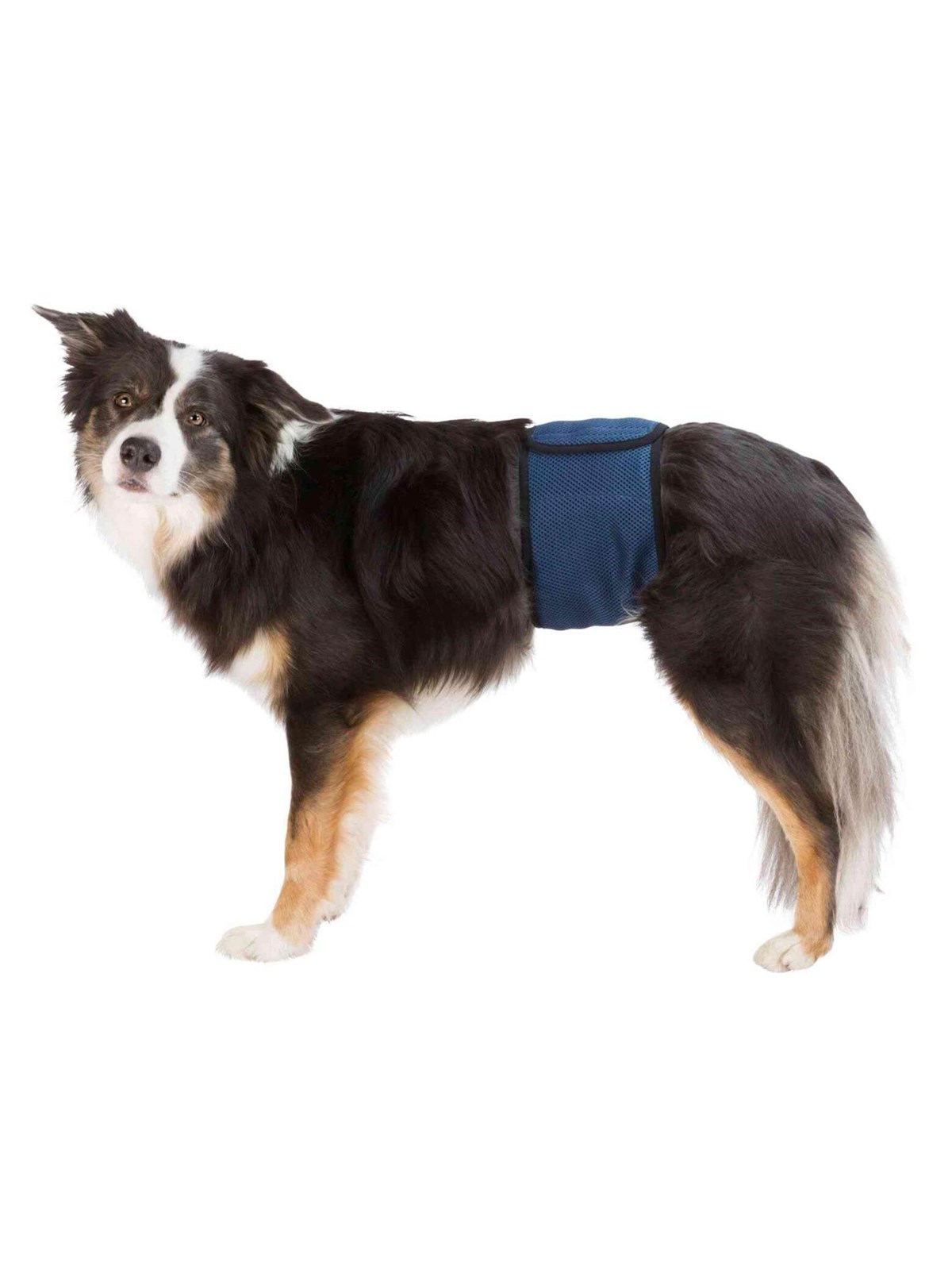 Trixie Washable Nappies for Male Dogs L Waist 55-65cm