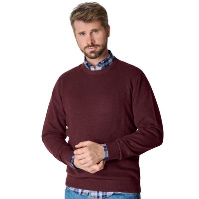 Strickpullover CASAMODA "CASAMODA Pullover uni", Herren, Gr. XL, rot (bordeauxrot), 100% Baumwolle, Pullover Strickpullover