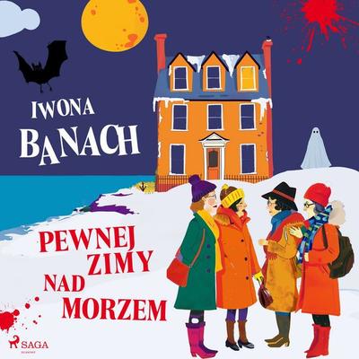 Pewnej zimy nad morzem - Iwona Banach, Audio, 9788727265599