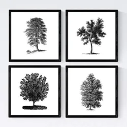 POSTER Set mit 4 Blättern der weißer Hintergrund 20x20cm Schwarzer Rahmen