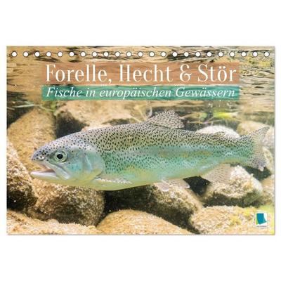 Forelle, Hecht und Stör: Fische in europäischen Gewässern (Tischkalender 2027 DIN A5 quer), CALVENDO Monatskalender