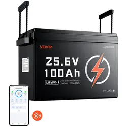 VEVOR LiFePO4 Batterie 24 V 100 Ah 100 A Lithiumbatterie mit Bluetooth BMS, Geeignet für Wohnmobile Campingwagen Solarenergiespeicher und Elektromotoren, 20-29,2 V DC, Niedertemperaturschutz, 2560 Wh