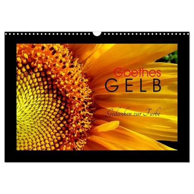 Goethes Gelb Gedanken zur Farbe (Wandkalender 2026 DIN A3 quer), CALVENDO Monatskalender