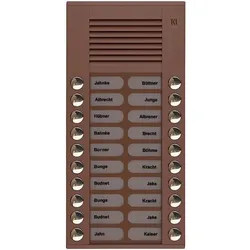 TCS Tür Control Audioaußenstation 2-reihig PES20-EB/04