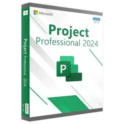 PROJECT 2024 PROFESSIONAL