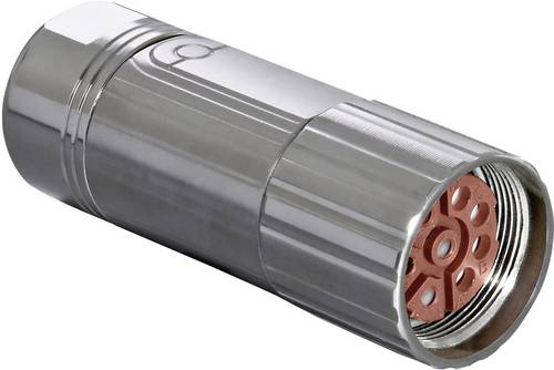 Intercontec Industriesteckverbinder M23 Serie 923 - Leistungssteckverbinder BSTA078FR05420235C00 BSTA078FR05420235C00 Inhalt: 1St.