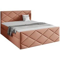 BOXBETT Herkules - H3