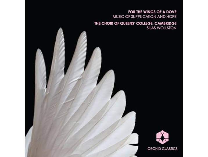For the Wings of a Dove
