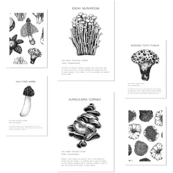 POSTER Set Mit 6 Komposition Aus Schwarzen & Weißen Pilzen & Homgos A3 & A4 Rahmenlos