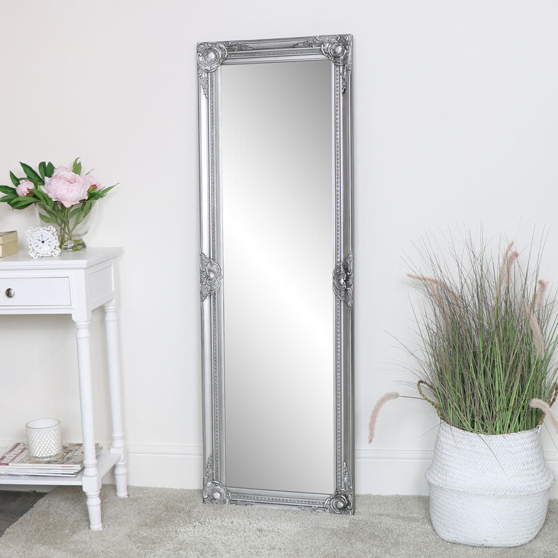 Astoria Grand Capehart Resin Leaning Full Length Mirror 142cm H X 47cm W X 3.5cm D