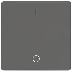 Siemens 5TG6222 DELTA i-system Wippe mit Symbolen I/O für Ausschalter, carbonmetallic