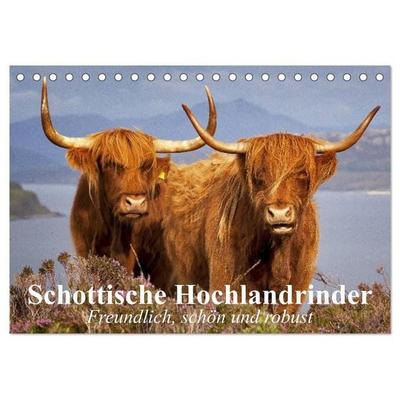 Schottische Hochlandrinder. Freundlich, schön und robust (Tischkalender 2027 DIN A5 quer), CALVENDO Monatskalender