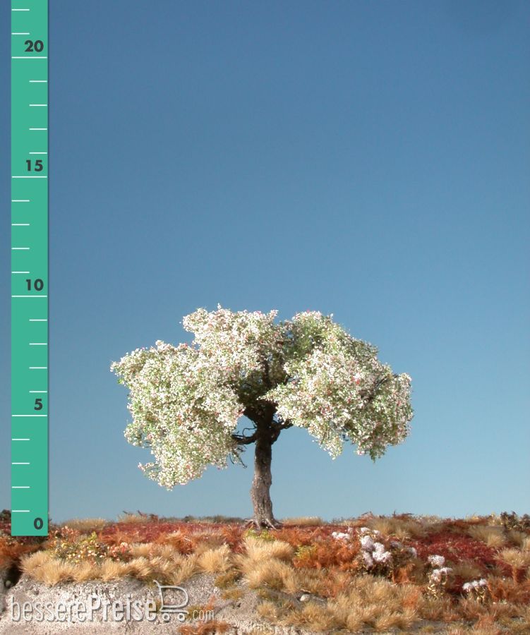 Silhouette 226-01