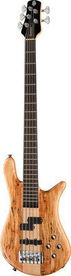 Spector Euro 5 CST Spalted Maple Ltd Natur Hochglanz