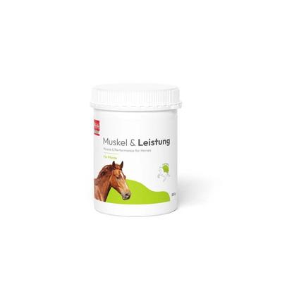 PHA Muskel & Leistung Pulver f.Pferde 850 g