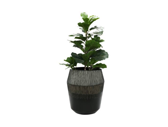 Jardin Royal Pflanztopf Moderna Ø 32.5 x 37.5 cm Schwarz
